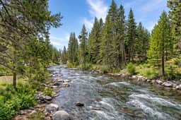 4060 River Rd - Image 5