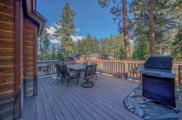 630 Tahoe Island Dr - Image 5