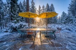 11080 Laurelwood Dr - Image 4