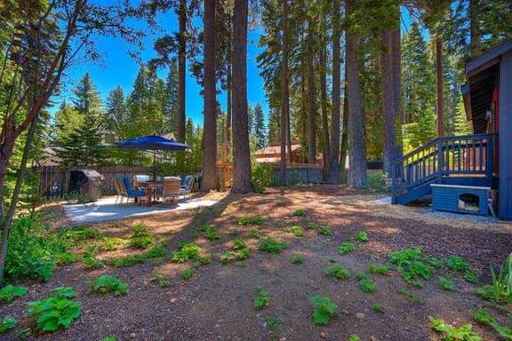 675 Rawhide Dr - Image 4