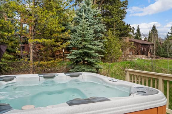 123 Boreas Pass Rd - Image 5