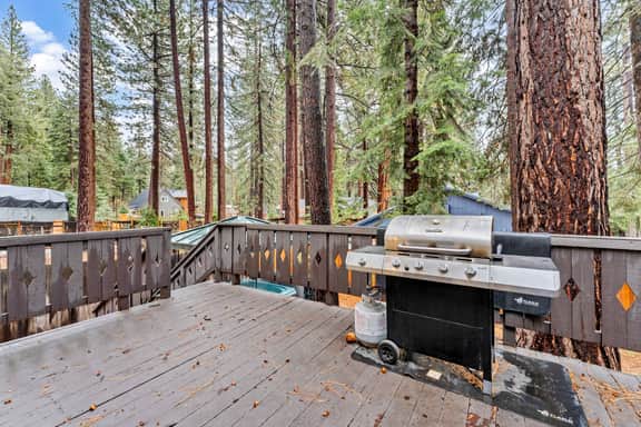 8422 Dolly Varden - Image 4