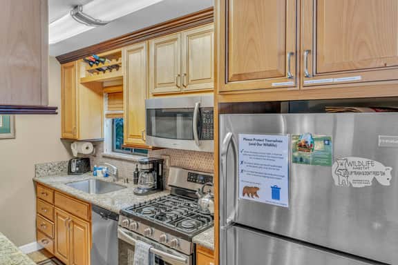 8422 Dolly Varden - Image 5