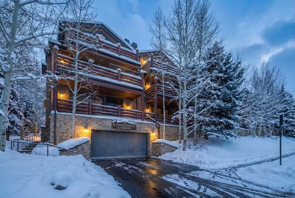 Comstock #302 - Image 1